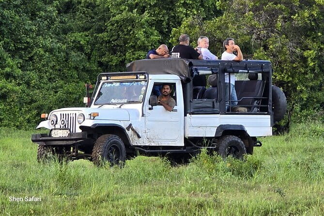 Safari Adventure in Minneriya national Park Sri Lanka - The Practical Details: What You Need to Know
