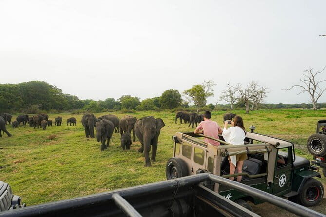 Safari Adventure in Minneriya national Park Sri Lanka - FAQs