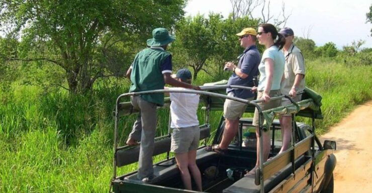 Safari Adventure:Udawalawe National Park Half-Day Expedition - Safari Adventure Overview