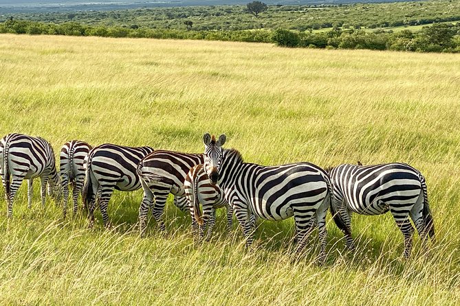 Safari And Beach Vacations - Destinations Covered