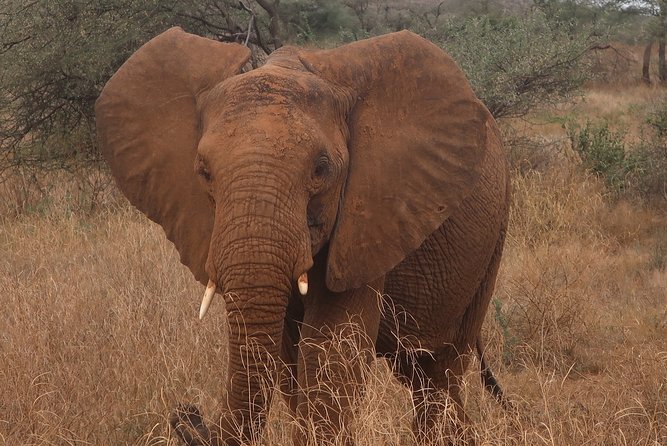 Safari And Beach Vacations - Tour Inclusions