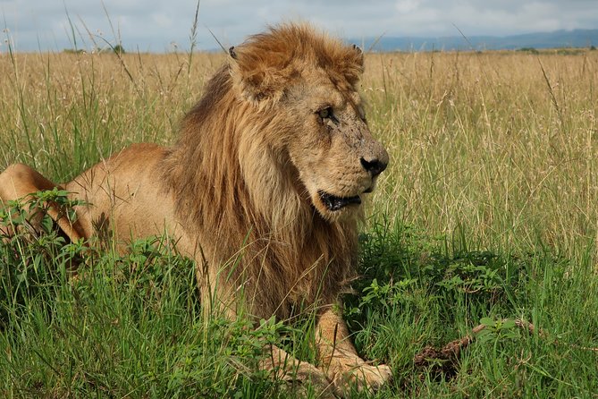 Safari And Beach Vacations - Booking Information