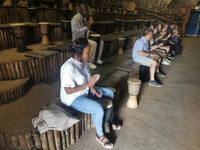 Safari at Lion and Rhino Park / Lesedi Culture Village - The Sum Up