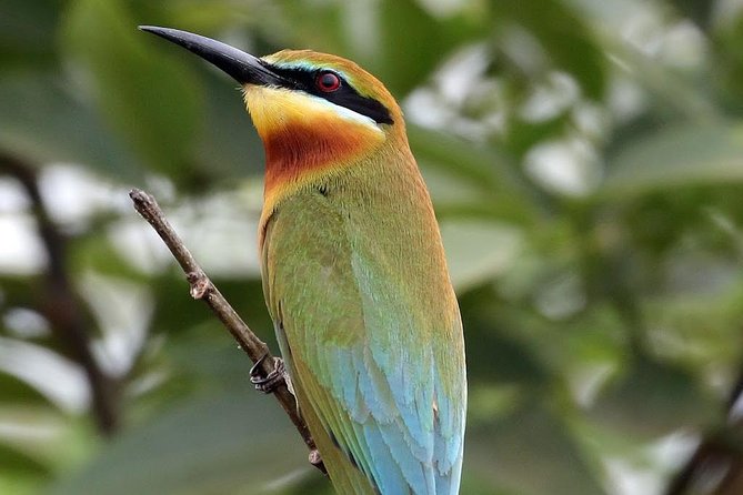 Safari at Udawalawe National Park - Additional Activities