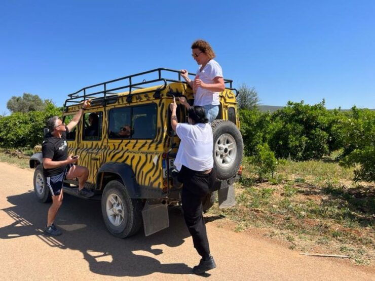 Safari & Boat Tour-Mountains & Dolphins - Tour Overview