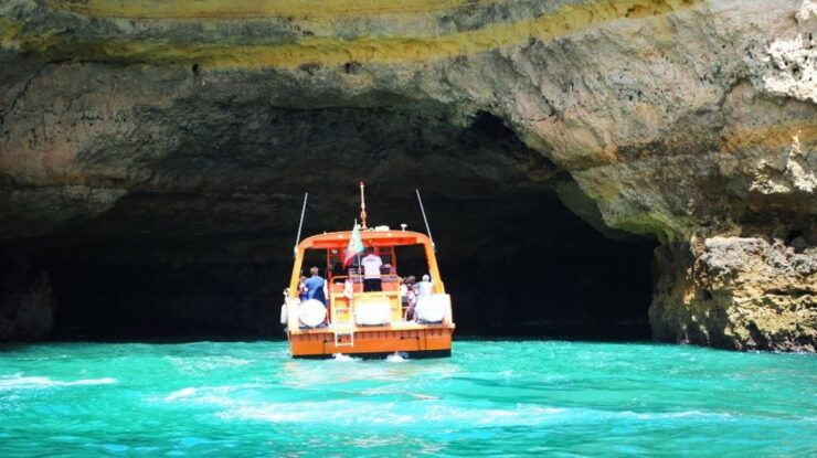 Safari & Boat Tour-Mountains & Dolphins - Booking Information