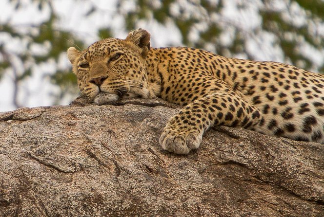 Safari & Culture - Interaction With Indigenous Communities