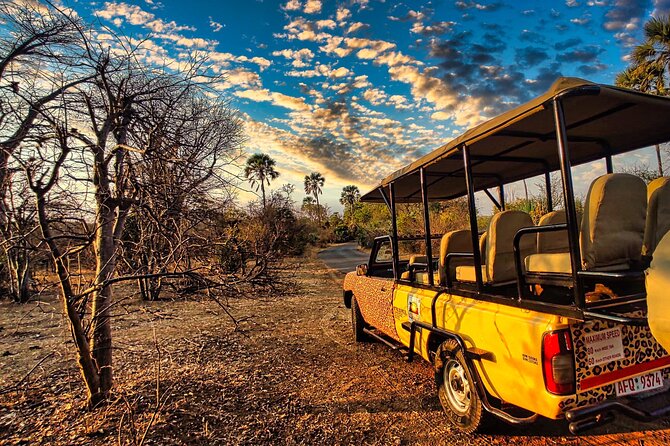 Safari Drive in Zambezi National Park - Important Reminders