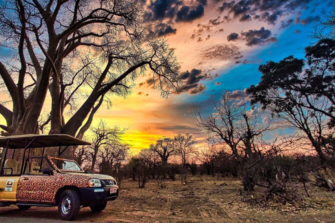 Safari Drive in Zambezi National Park - How to Reserve Your Spot