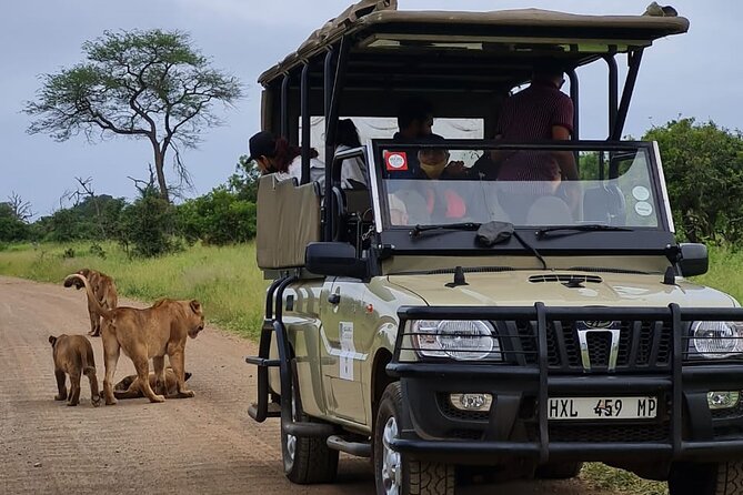 Safari Drive Kruger National Park - Affordable Pricing Options for Every Budget