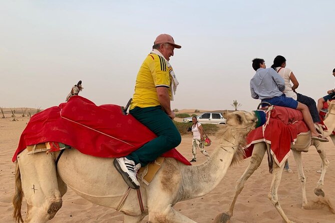 Safari Dubai - Cultural Experiences in Dubais Desert