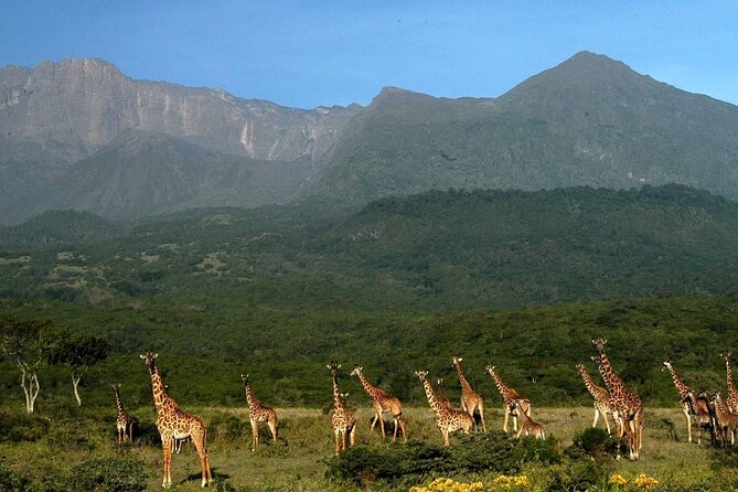 Safari From Zanzibar:3 Days Serengeti Balloon Safari With Flights - Cancellation Policy