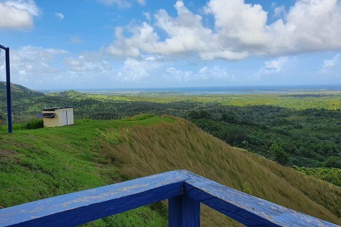 Safari Full Day VIP Experience - Good To Know