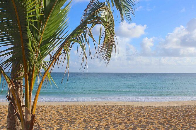 Safari Full Day VIP Experience - In-Depth Review of the Safari Full Day VIP Experience