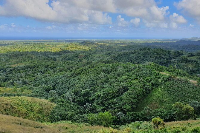 Safari Full Day VIP Experience - The Sum Up