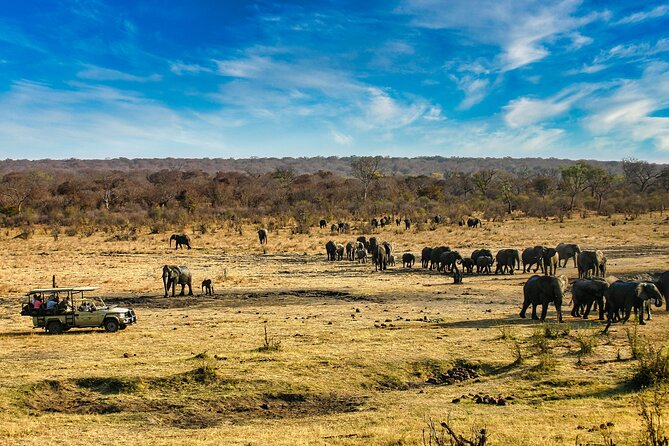 Safari Game Drive in the Savannah With Hotel Pickup 3 Times Daily - Tour Details