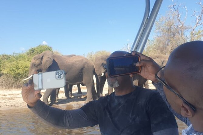 Safari Game Drive in Zambezi National Park - Booking Availability