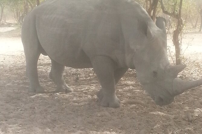 Safari Game Park - Good To Know
