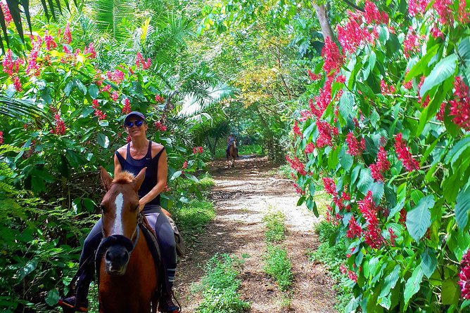 Safari Horse Riding Tour - Accessibility Information