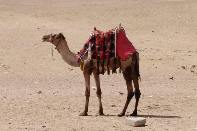 Safari Hurghada - Desert Safari Hurghada Egypt - Health and Fitness Requirements