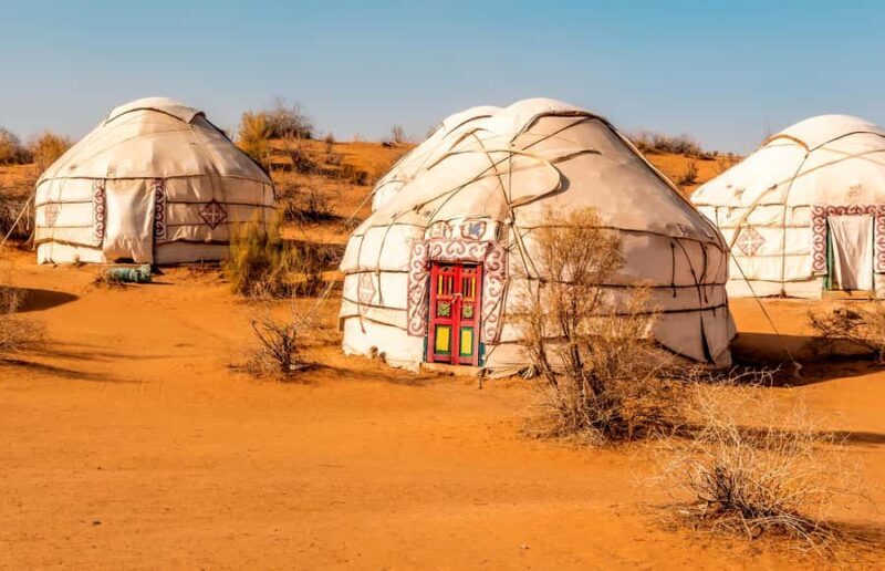 Safari in Kyzylkoum and Lake Aydar (2 days): yurt camping and more! - A Practical and Authentic Uzbek Safari in Kyzylkoum and Lake Aydar