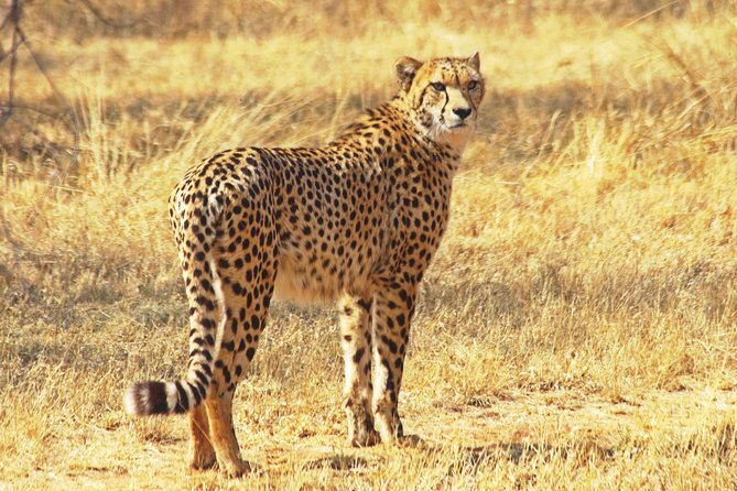 Safari in the Kruger National Park - 4 Days-All Inclusive & Private - Accommodation and Facilities