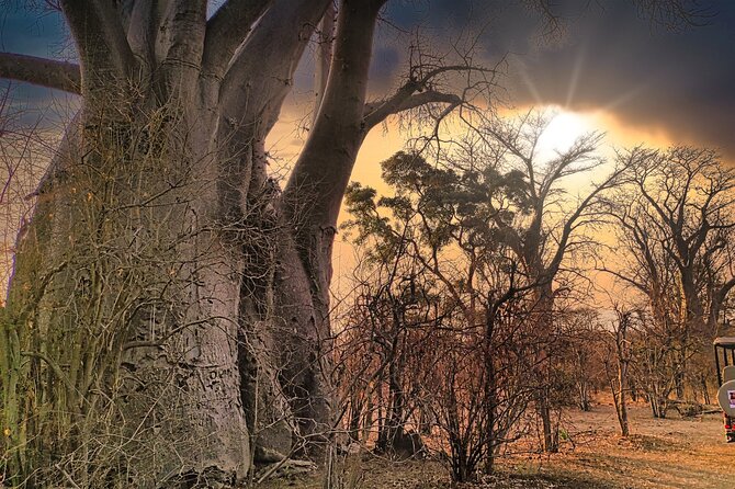 Safari in Victoria Falls and Zambezi National Park - Tour Pricing Details