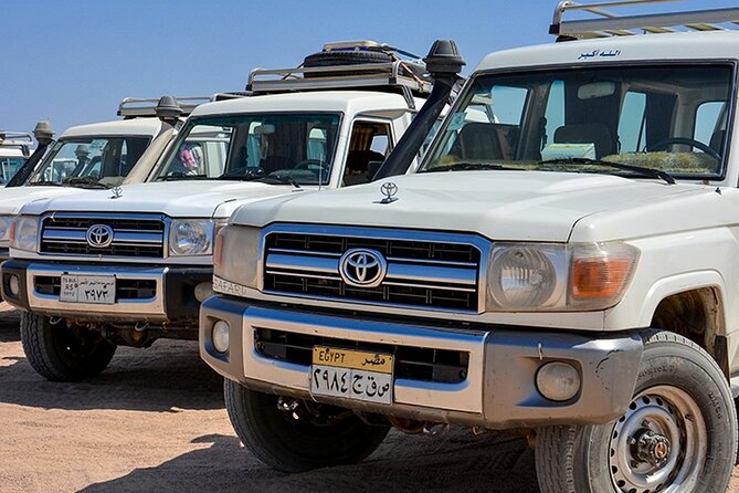 Safari Jeep, Buggy, Camel, Quad, Dinner and Show in Hurghada - Pickup Information