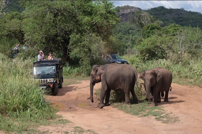 Safari Jeep in Hurulu Eco Park Sri Lanka wit Pigeon Island Tours - Good To Know