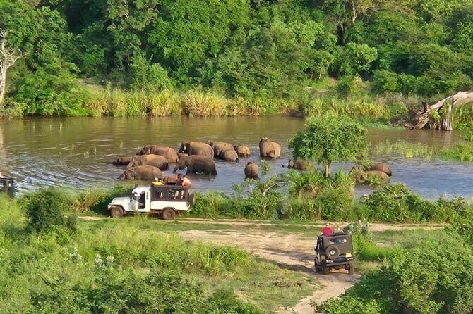 Safari Jeep in Hurulu Eco Park Sri Lanka wit Pigeon Island Tours - An Authentic Look at the Hurulu Eco Park Safari