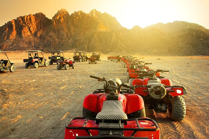 Safari Jeep, Quad Bike, Bedouin Village And BBQ With Show - Tour Details
