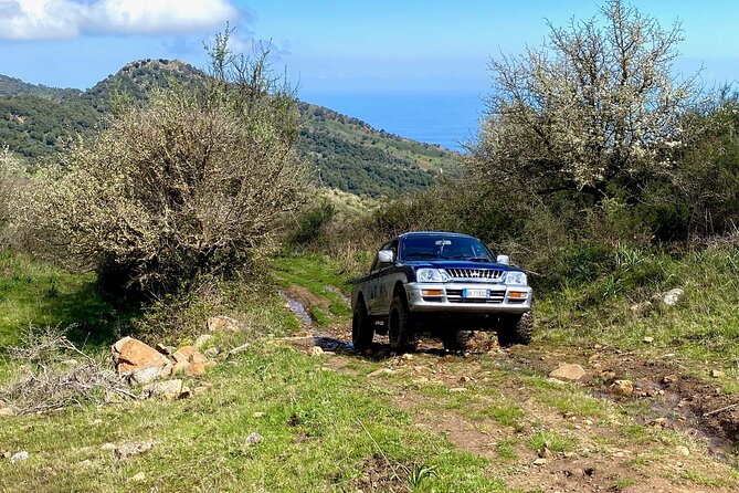 Safari Jeep Wild Adventure - Terms and Conditions