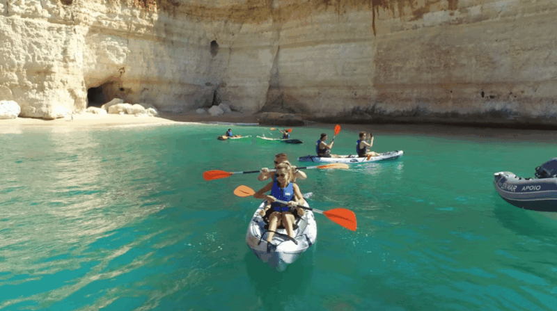 Safari & Kayaking - Final Thoughts: Who Will Love This Tour?