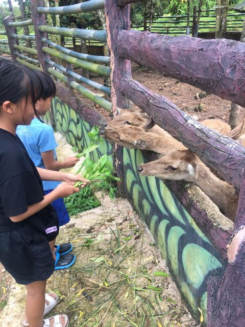 Safari Lagoi & Eco Farm Bintan - Wildlife Conservation
