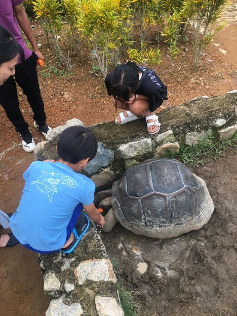 Safari Lagoi & Eco Farm Bintan - Tour Experience