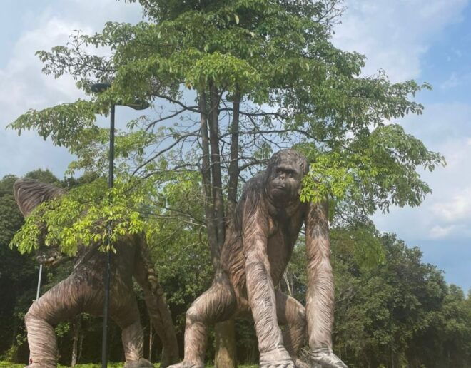 Safari Lagoi & Eco Farm Bintan - Transportation and Pricing
