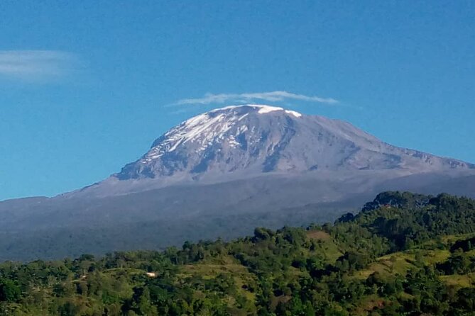 Safari & Mount Kilimanjaro Day Hike - Customer Reviews
