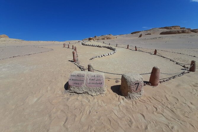 Safari Pravite Day Tour to El Fayoum Oasis Includes Whales Valley by 4X4 Car - Tour Highlights