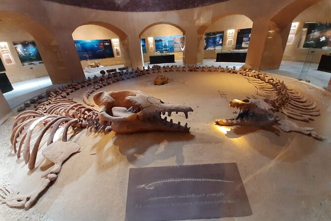 Safari Pravite Day Tour to El Fayoum Oasis Includes Whales Valley by 4X4 Car - Booking and Confirmation