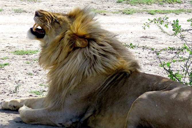 Safari Rhinoceros - Accommodation Details