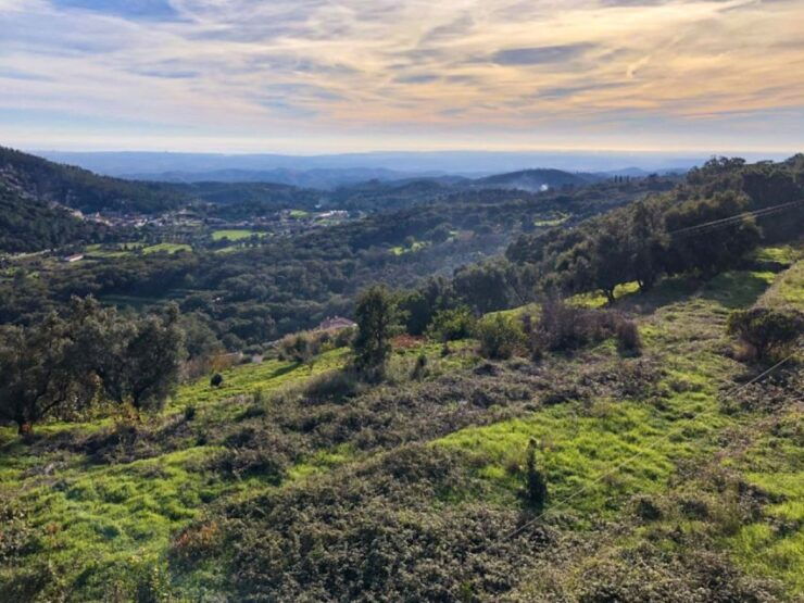 Safari Silves & Monchique - Experience Highlights