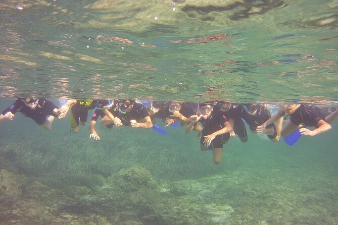 Safari Snorkeling Tour in Menorca - Tour Highlights