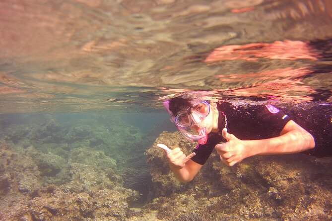 Safari Snorkeling Tour in Menorca - Wildlife Encounters