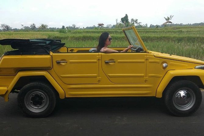 Safari Style Tour in Bali Island - Best Safari Style Tours in Bali
