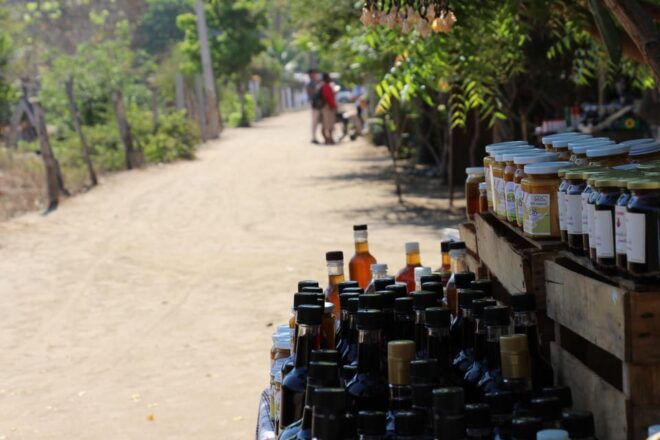 SAFARI THROUGH THE MANGROVES IN VENTANILLA OAXACA - Important Information