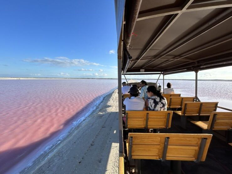 Safari Tour Around the Pink Lakes of Las Coloradas - Exploration of Pink Lake Ecosystem