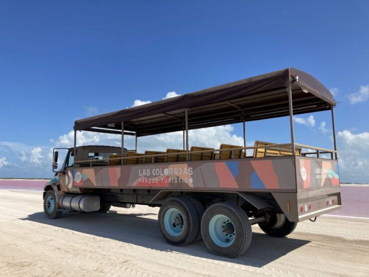 Safari Tour Around the Pink Lakes of Las Coloradas - Off-Road Adventure by the Lakes