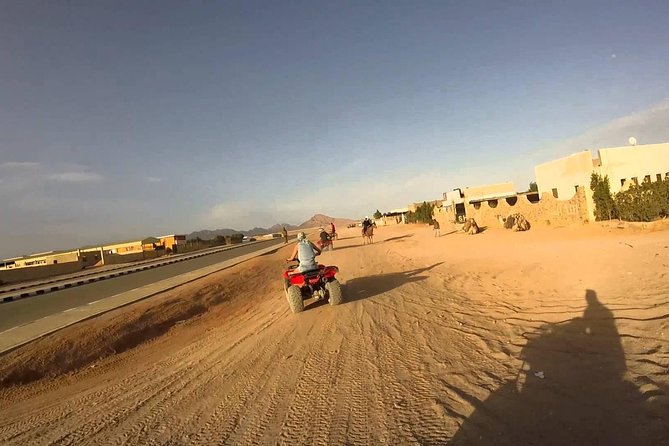 Safari Tour by Quad Bike at the West Bank - Good To Know