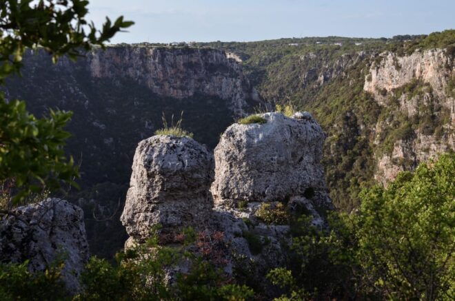 Safari Tour: Gravina Di Laterza by Jeep - Participant Limitations