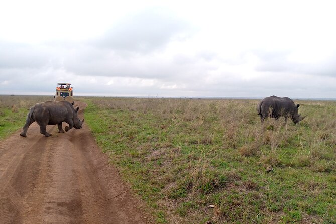 Safari Tour : Nairobi National Park - Booking Information and Flexibility